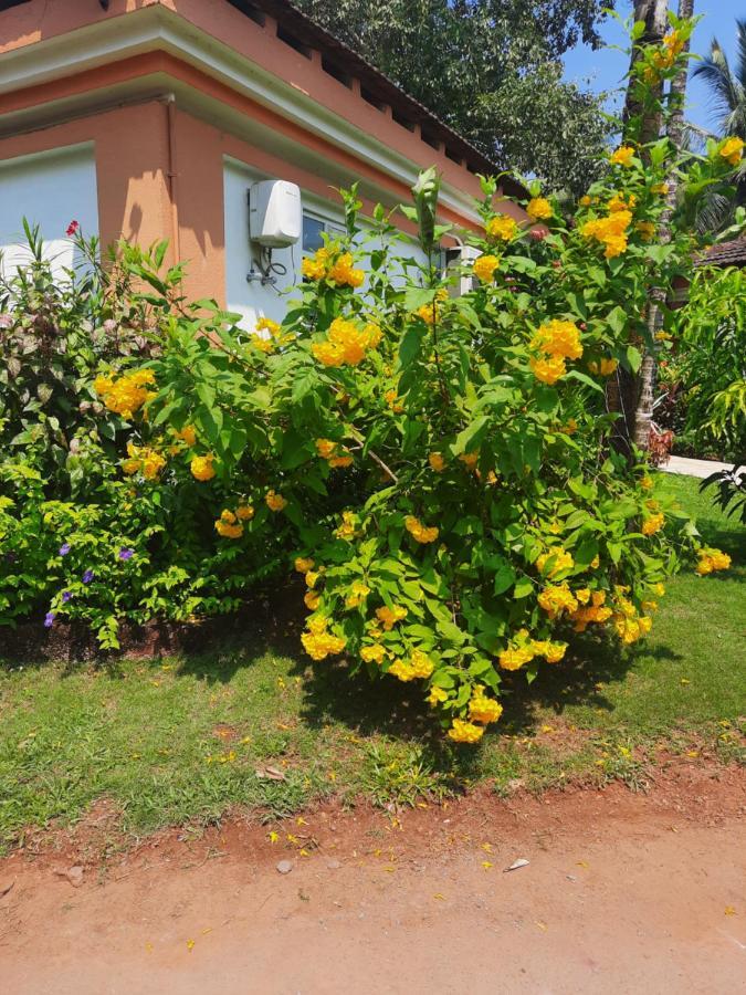 Villa Sunflower Cavelossim Extérieur photo